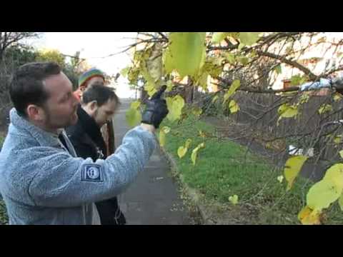 See video