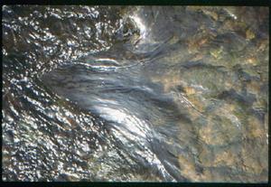 Water vortex