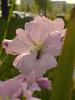 DSC00108