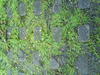 DSC00370