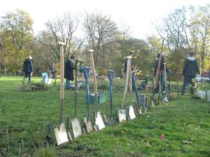 planting day nov 08 - many spade