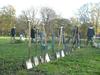 planting day nov 08 - many spade