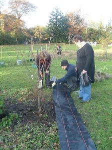 planting day nov 08 - mypex padness