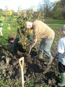 planting day nov 08 - tree fun