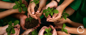 Plants For A future Banner