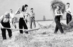 Land girls