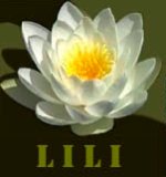 LILI logo