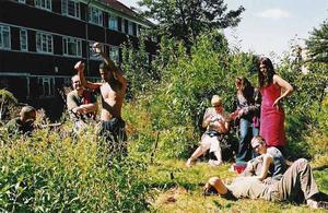 meadow.dudes.2
