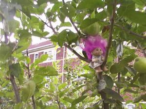 tree.troll