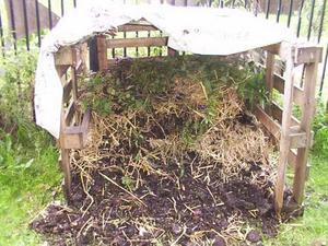 what.2.compost