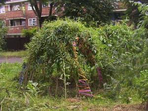 willow.dome